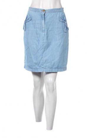 Sukňa H&M, Veľkosť L, Farba Modrá, Cena  10,00 €