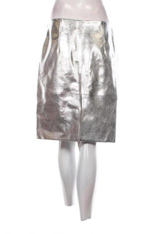 Sukně H&M, Velikost L, Barva Stříbrná, Cena  241,00 Kč