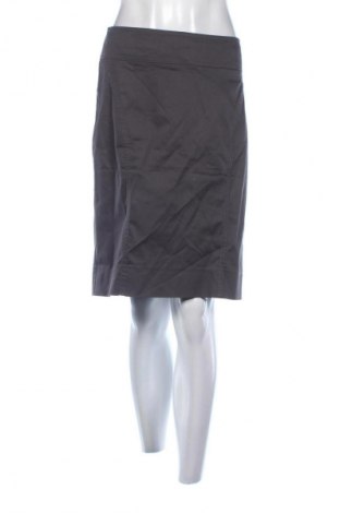 Sukňa H&M, Veľkosť XL, Farba Sivá, Cena  7,95 €