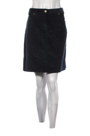 Sukňa Woman By Tchibo, Veľkosť L, Farba Modrá, Cena  6,95 €