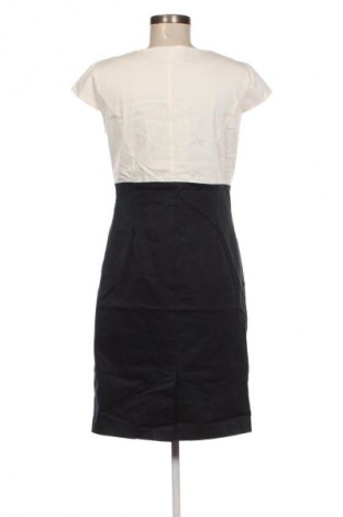 Sukienka Adagio, Rozmiar M, Kolor Kolorowy, Cena 52,99 zł