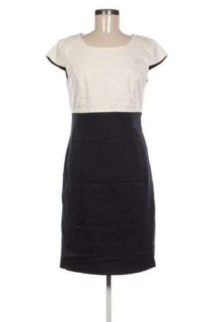 Sukienka Adagio, Rozmiar M, Kolor Kolorowy, Cena 52,99 zł