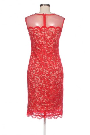 Φόρεμα Betsy & Adam, Μέγεθος M, Χρώμα Πολύχρωμο, Τιμή 24,48 €