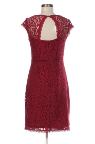 Kleid Comma,, Größe S, Farbe Rot, Preis € 35,99
