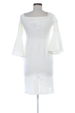 Kleid Dorothy Perkins, Größe M, Farbe Weiß, Preis 28,99 €