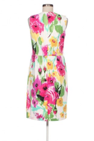 Kleid Dressbarn, Größe M, Farbe Mehrfarbig, Preis 20,02 €