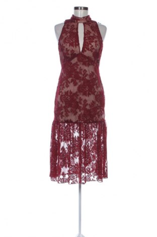 Φόρεμα Endless Rose, Μέγεθος M, Χρώμα Πολύχρωμο, Τιμή 37,99 €