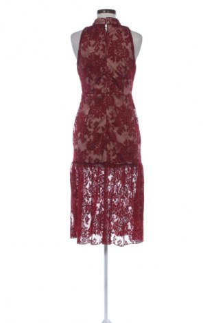 Φόρεμα Endless Rose, Μέγεθος M, Χρώμα Πολύχρωμο, Τιμή 37,99 €