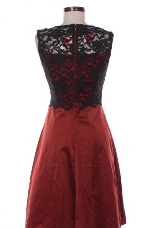 Kleid Minx, Größe S, Farbe Mehrfarbig, Preis € 52,99