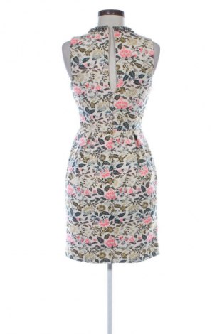 Šaty  Oasis, Velikost XS, Barva Vícebarevné, Cena  606,00 Kč