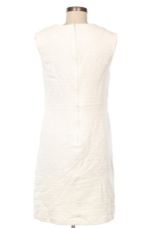 Φόρεμα Orsay, Μέγεθος XL, Χρώμα Λευκό, Τιμή 16,99 €