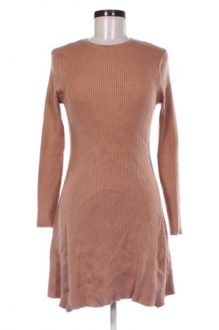 Φόρεμα Primark, Μέγεθος XL, Χρώμα Καφέ, Τιμή 12,99 €