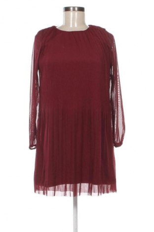 Kleid Sinsay, Größe XXS, Farbe Rot, Preis € 19,95