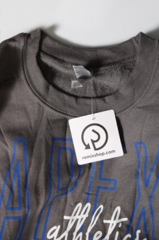 Γυναικεία μπλούζα Gildan, Μέγεθος S, Χρώμα Γκρί, Τιμή 21,65 €