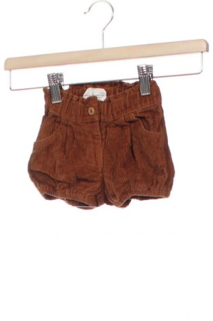 Dětské krátké kalhoty  Topomini, Velikost 1-2m/ 50-56 cm, Barva Hnědá, Bavlna, Cena  351,00 Kč