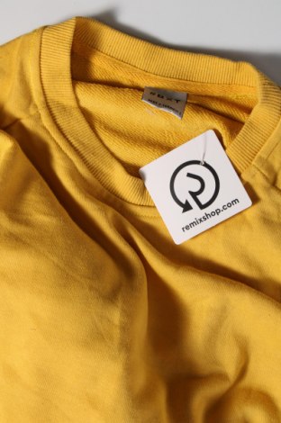 Damen Shirt, Größe XL, Farbe Gelb, Preis 4,63 €