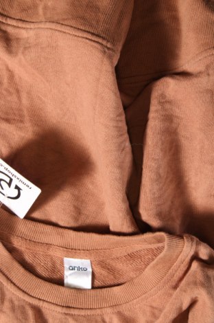 Damen Shirt Anko, Größe S, Farbe Braun, Preis 2,91 €