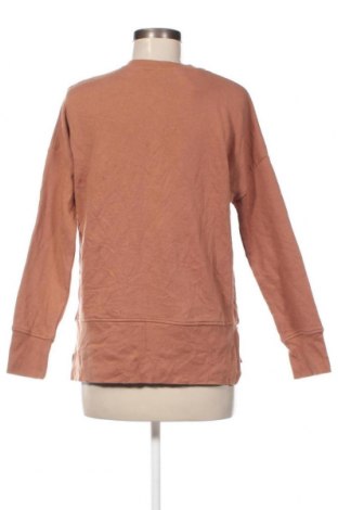 Damen Shirt Anko, Größe S, Farbe Braun, Preis € 2,91