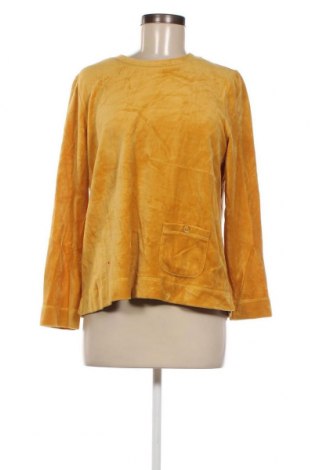 Damen Shirt Appleseed's, Größe M, Farbe Gelb, Preis 3,04 €