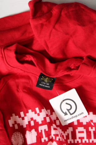 Γυναικεία μπλούζα Athletic, Μέγεθος L, Χρώμα Κόκκινο, Τιμή 4,00 €
