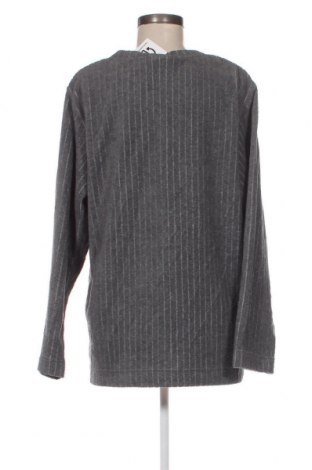 Damen Shirt Catalina, Größe M, Farbe Grau, Preis 3,44 €