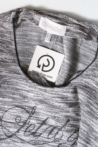 Γυναικεία μπλούζα Chalou, Μέγεθος M, Χρώμα Γκρί, Τιμή 1,76 €