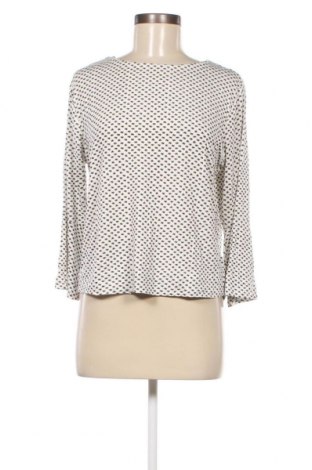 Γυναικεία μπλούζα Chicoree, Μέγεθος M, Χρώμα Πολύχρωμο, Τιμή 2,47 €