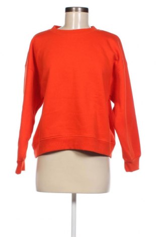 Γυναικεία μπλούζα Colloseum, Μέγεθος XS, Χρώμα Πορτοκαλί, Τιμή 4,23 €