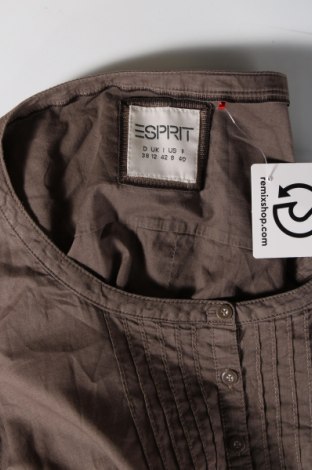 Damen Shirt Esprit, Größe M, Farbe Braun, Preis 16,70 €