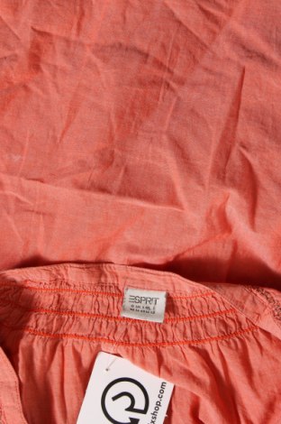 Damen Shirt Esprit, Größe M, Farbe Orange, Preis 16,70 €