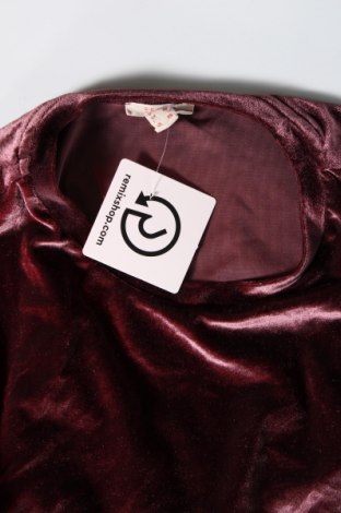 Damen Shirt Esprit, Größe XS, Farbe Lila, Preis 2,17 €