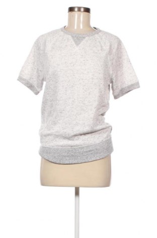 Γυναικεία μπλούζα Express, Μέγεθος XS, Χρώμα Γκρί, Τιμή 2,97 €