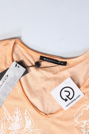 Γυναικεία μπλούζα Expresso, Μέγεθος XS, Χρώμα Πορτοκαλί, Τιμή 8,41 €