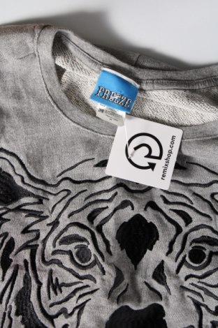 Γυναικεία μπλούζα FREEZE, Μέγεθος M, Χρώμα Γκρί, Τιμή 3,76 €