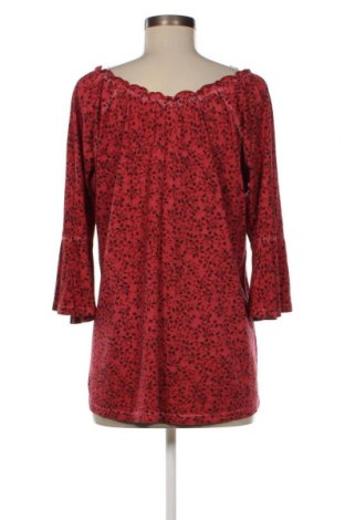 Γυναικεία μπλούζα Gina, Μέγεθος M, Χρώμα Κόκκινο, Τιμή 9,72 €