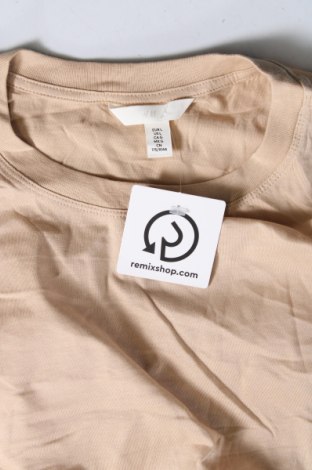 Damen Shirt H&M, Größe L, Farbe Beige, Preis € 13,22