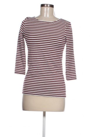 Damen Shirt Hallhuber, Größe M, Farbe Mehrfarbig, Preis 7,81 €