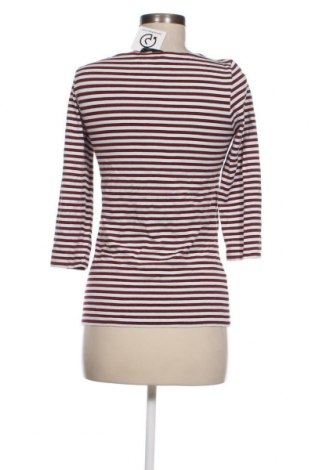 Γυναικεία μπλούζα Hallhuber, Μέγεθος M, Χρώμα Πολύχρωμο, Τιμή 4,84 €