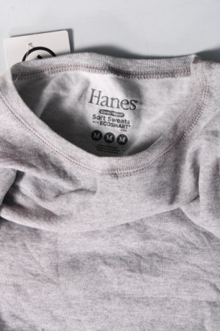 Damen Shirt Hanes, Größe M, Farbe Grau, Preis € 4,36