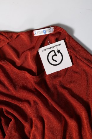 Γυναικεία μπλούζα Magna, Μέγεθος L, Χρώμα Πορτοκαλί, Τιμή 2,56 €