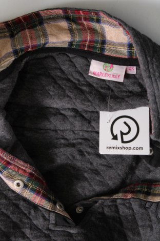 Damen Shirt Marleylilly, Größe XS, Farbe Grau, Preis 3,08 €