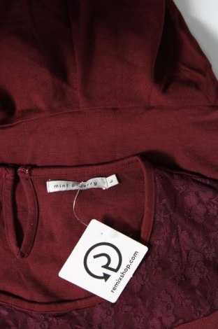 Γυναικεία μπλούζα Mint & Berry, Μέγεθος L, Χρώμα Κόκκινο, Τιμή 2,82 €