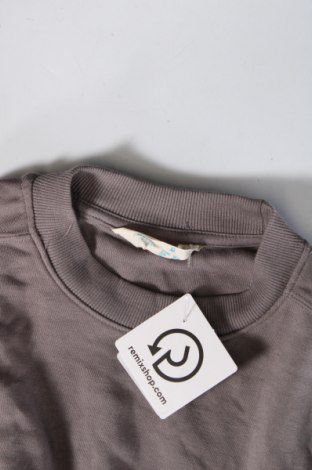 Damen Shirt Primark, Größe M, Farbe Grau, Preis 2,91 €