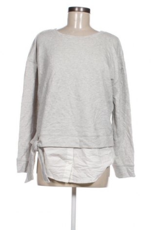 Γυναικεία μπλούζα Sanctuary, Μέγεθος S, Χρώμα Γκρί, Τιμή 3,12 €