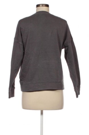Γυναικεία μπλούζα Style & Co, Μέγεθος S, Χρώμα Γκρί, Τιμή 4,23 €
