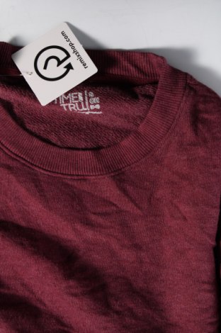 Γυναικεία μπλούζα Time and tru, Μέγεθος S, Χρώμα Βιολετί, Τιμή 4,11 €