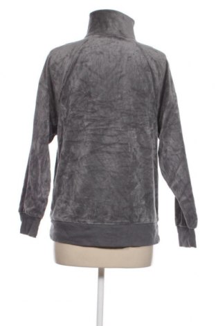 Γυναικεία μπλούζα Wild Fable, Μέγεθος XS, Χρώμα Γκρί, Τιμή 3,53 €