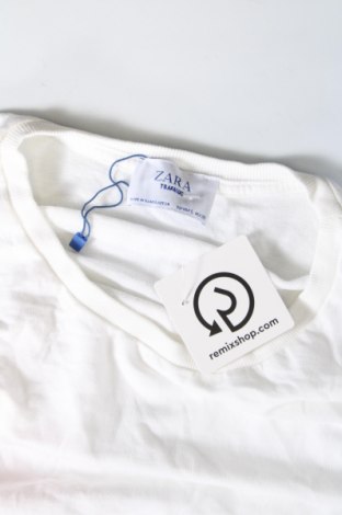 Γυναικεία μπλούζα Zara Trafaluc, Μέγεθος L, Χρώμα Λευκό, Τιμή 12,37 €
