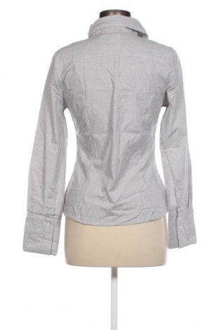 Γυναικείο πουκάμισο Y.O.U, Μέγεθος M, Χρώμα Πολύχρωμο, Τιμή 15,46 €