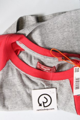 Damen T-Shirt Superdry, Größe XL, Farbe Grau, Preis 17,32 €